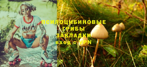 apvp Осинники