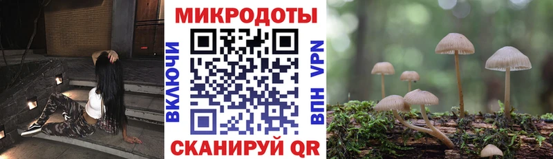 Галлюциногенные грибы мицелий Мышкин